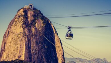 Acedemicos Da Rocinha Samba - School Review