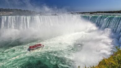 As estatísticas de imigração canadense estão cada vez mais a favor dos profissionais de tecnologia