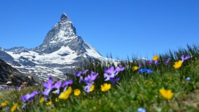 Lugar Maravilhoso para Viver - Zurique