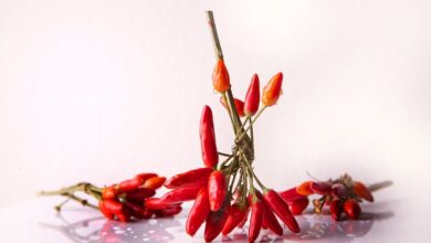 Maneiras de como alimentar sua paixão por cozinhar