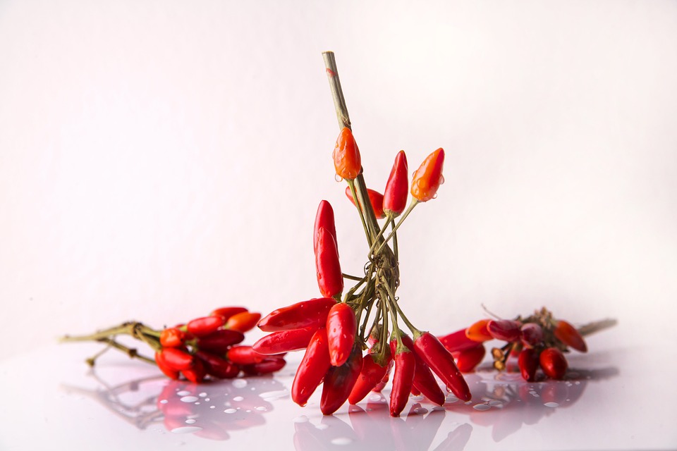 Maneiras de como alimentar sua paixão por cozinhar