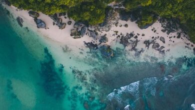 O Lado Ruim do Turismo Odontológico