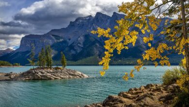 Fatos interessantes sobre os países olímpicos - Canadá