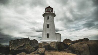 Influências canadenses na cultura americana