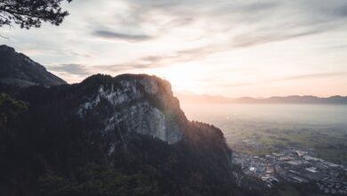 O Romance do Turismo Vinícola